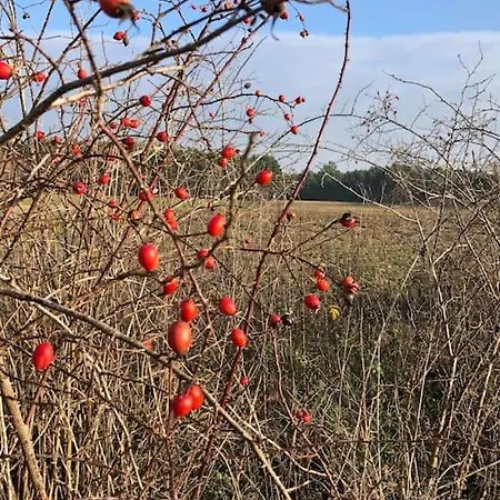 Сasa de vacaciones Haus Am Fluss Und *