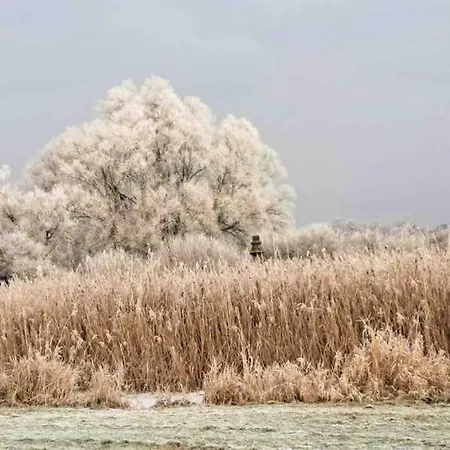 Haus Am Fluss Und Сasa de vacaciones Gartow
