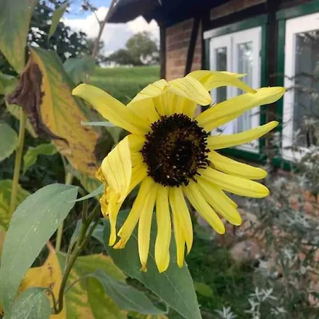 Haus Am Fluss Und * Gartow