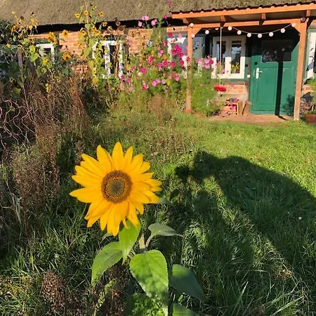 Сasa de vacaciones Haus Am Fluss Und *