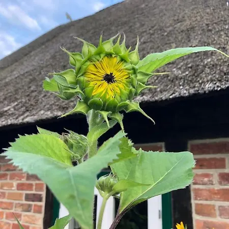 Сasa de vacaciones Haus Am Fluss Und