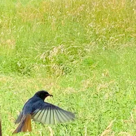 Haus Am Fluss Und Сasa de vacaciones Gartow