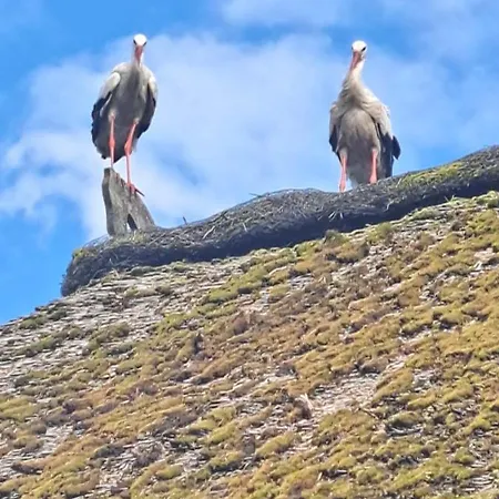Haus Am Fluss Und Gartow