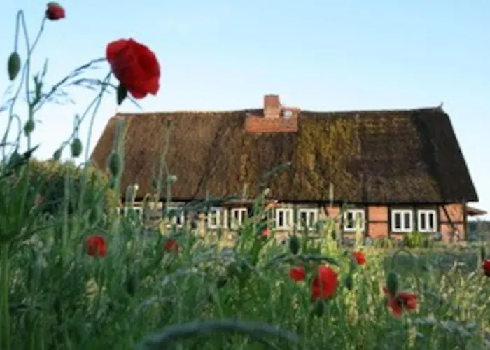 Haus Am Fluss Und * Gartow