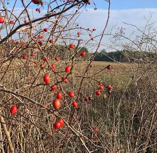 Semesterbostad Haus Am Fluss Und *