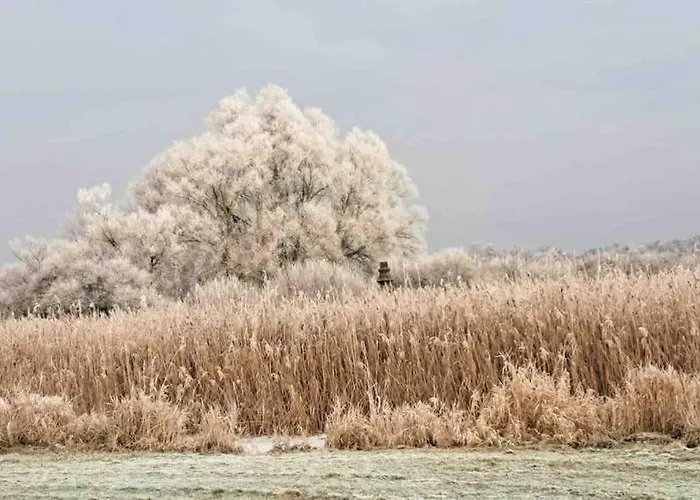 Haus Am Fluss Und Semesterbostad Gartow