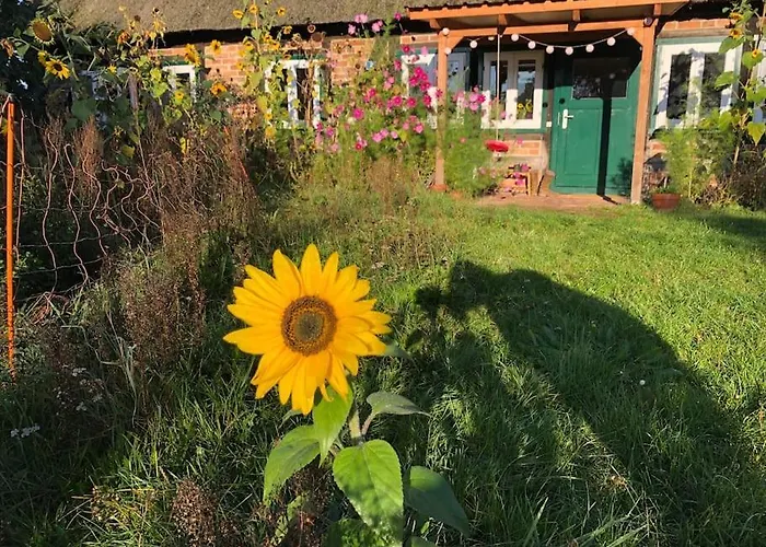 Semesterbostad Haus Am Fluss Und *